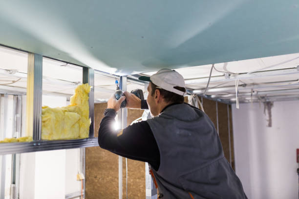 Best Insulation Maintenance and Repair in Durand, MI